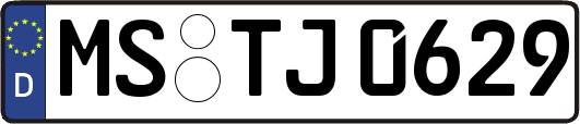 MS-TJ0629