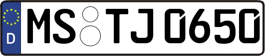 MS-TJ0650