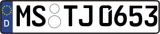 MS-TJ0653