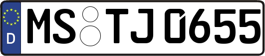 MS-TJ0655