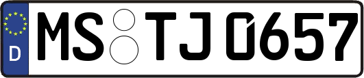 MS-TJ0657