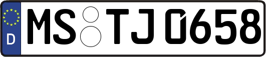 MS-TJ0658