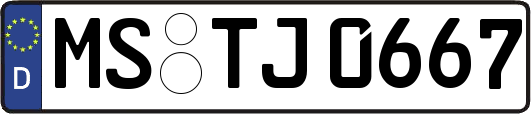 MS-TJ0667