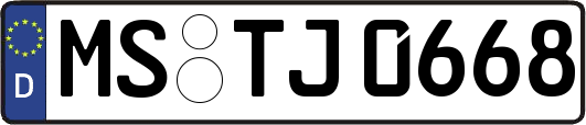 MS-TJ0668