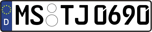 MS-TJ0690