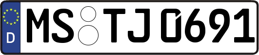 MS-TJ0691