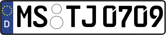 MS-TJ0709