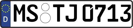MS-TJ0713