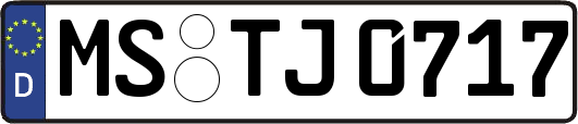 MS-TJ0717