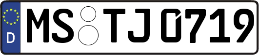 MS-TJ0719