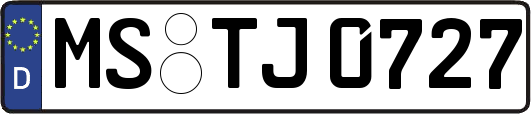 MS-TJ0727
