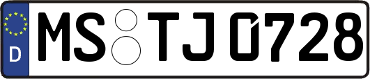 MS-TJ0728