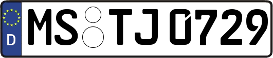 MS-TJ0729
