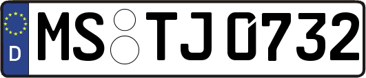 MS-TJ0732