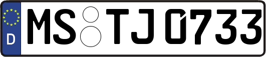 MS-TJ0733
