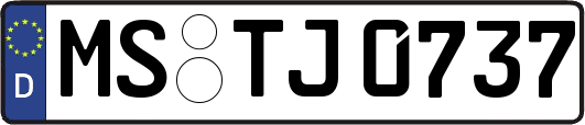 MS-TJ0737