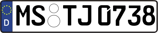MS-TJ0738
