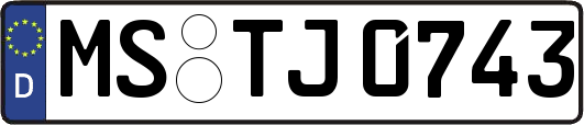 MS-TJ0743