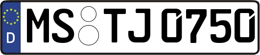 MS-TJ0750