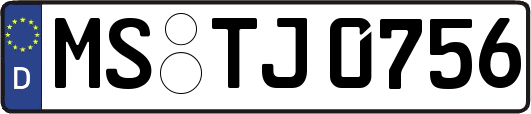 MS-TJ0756