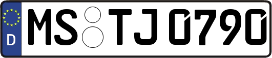 MS-TJ0790