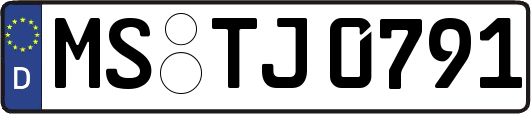 MS-TJ0791