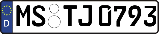 MS-TJ0793