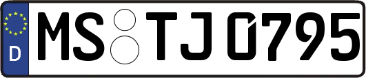 MS-TJ0795