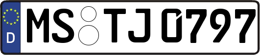 MS-TJ0797