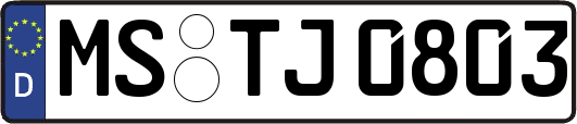 MS-TJ0803
