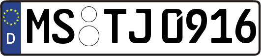 MS-TJ0916