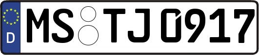 MS-TJ0917