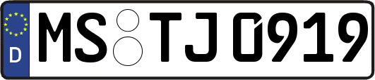 MS-TJ0919