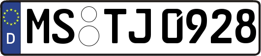MS-TJ0928