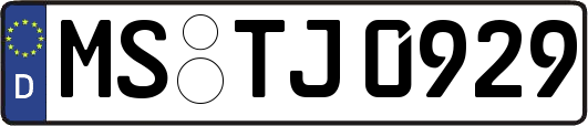 MS-TJ0929