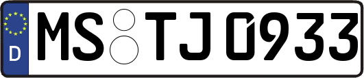 MS-TJ0933