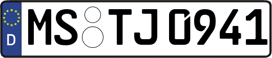 MS-TJ0941