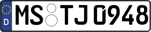 MS-TJ0948