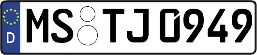 MS-TJ0949