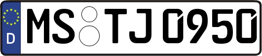 MS-TJ0950