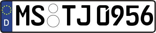 MS-TJ0956