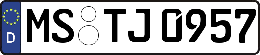 MS-TJ0957