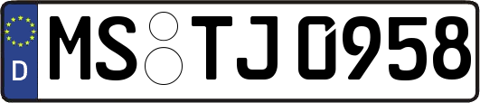 MS-TJ0958