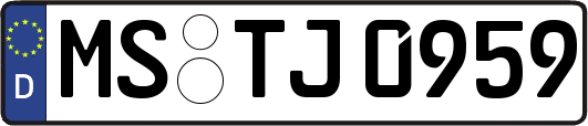 MS-TJ0959
