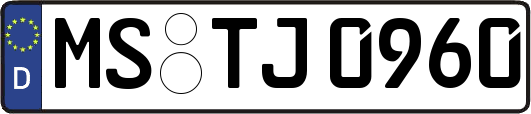 MS-TJ0960