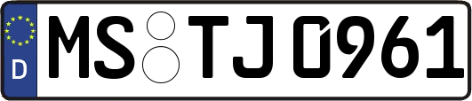 MS-TJ0961