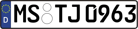 MS-TJ0963
