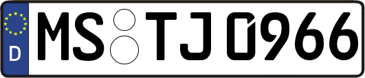 MS-TJ0966