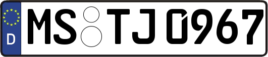 MS-TJ0967