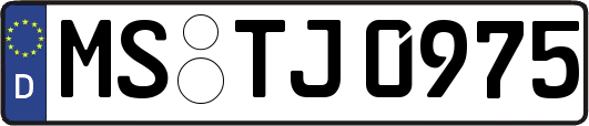 MS-TJ0975